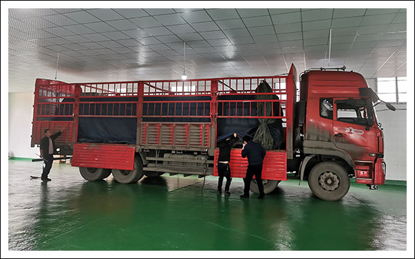 1000平廣告加工廠案例.jpg 1000平廣告加工廠案例.jpg